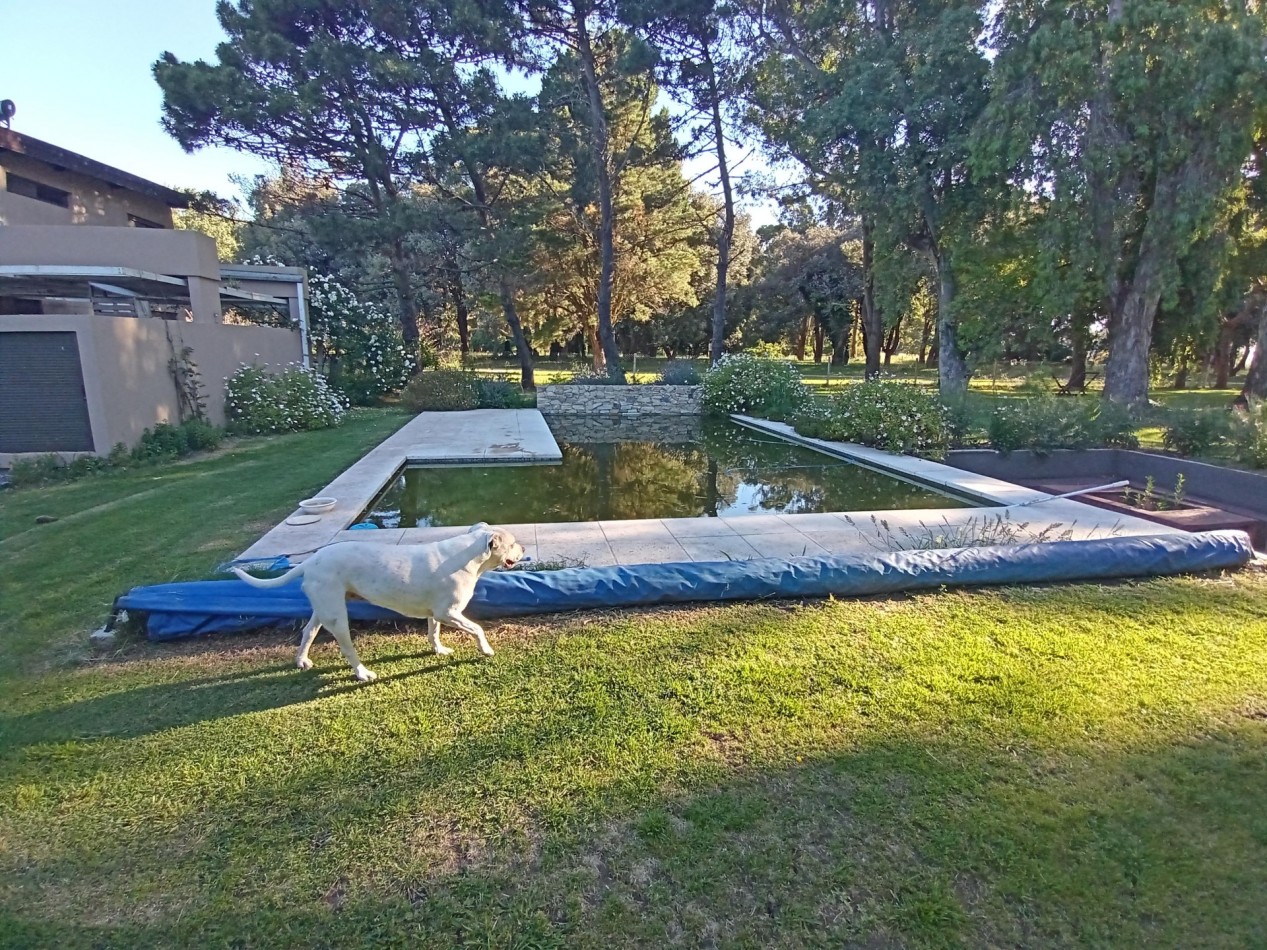 CASA MINIMALISTA EN "LA CALETA" S/ 884 M2, A BORDE DEL ARROYO Y A METROS DEL MAR, AMPLIO LOFT EN PA 