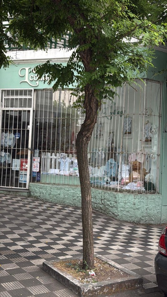 LOCAL  EN ALQUILER O VENTA