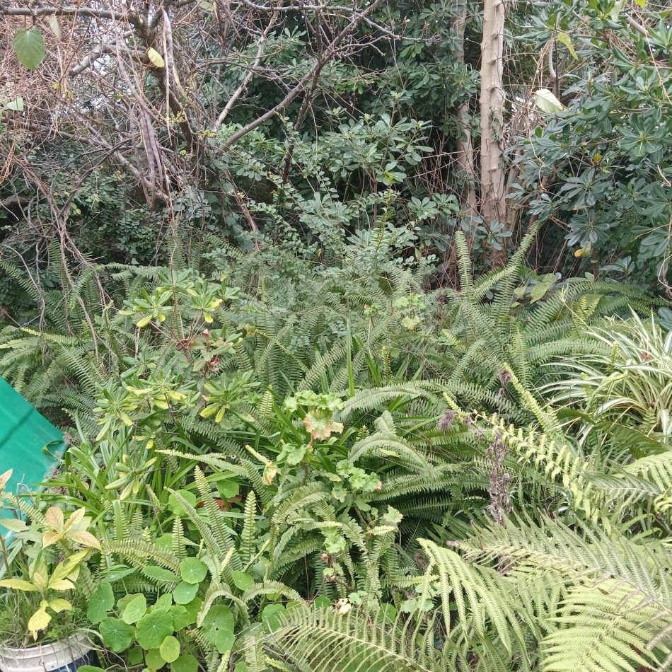CHALET DE 5 AMB. CON PARQUE TOTALMENTE A RECICLAR !!! 