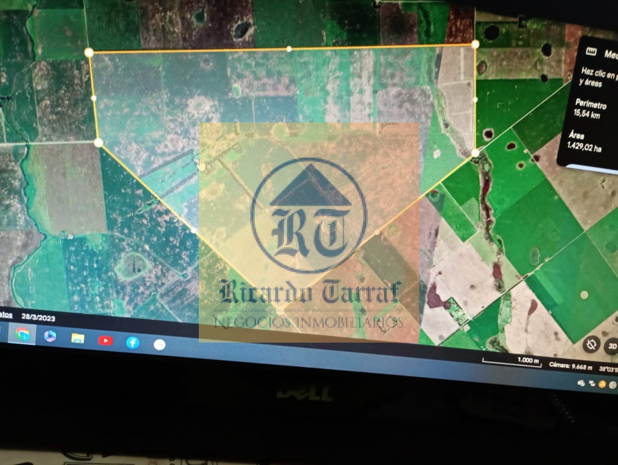 CAMPO: 1405 HRAS. AGRICOLAS, PARTIDO DE NECOCHEA